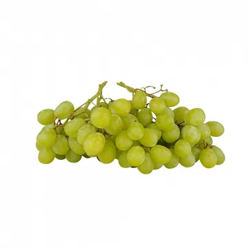 그린팜 생 청포도 1kg