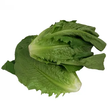 그린팜 생 통로메인 300g