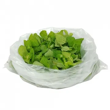 그린팜 생 애플민트 100g