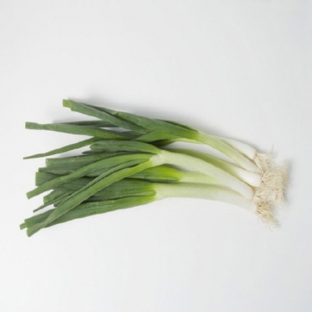 대파 大/국내산  1단