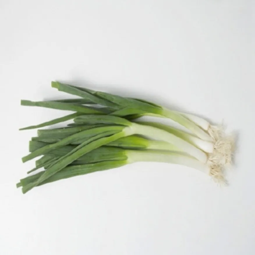 대파 大/국내산 1단 이미지