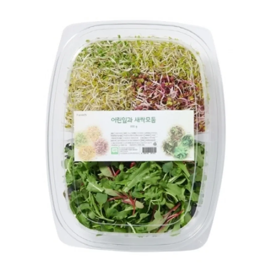 새싹채소 대/팩/국내산 500g/팩 이미지