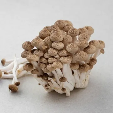 만가닥버섯 국내산 150g/팩