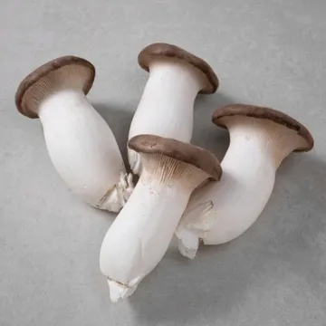 새송이버섯 특/국내산 2kg/박스