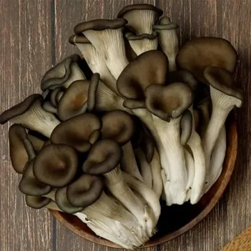 꽃느타리버섯 상/국내산 2kg/박스