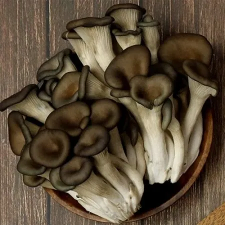 꽃느타리버섯 상/국내산  2kg/박스