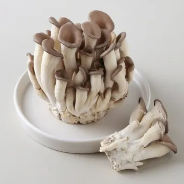 맛타리버섯 팩느타리/200g*10입/국내산 1박스