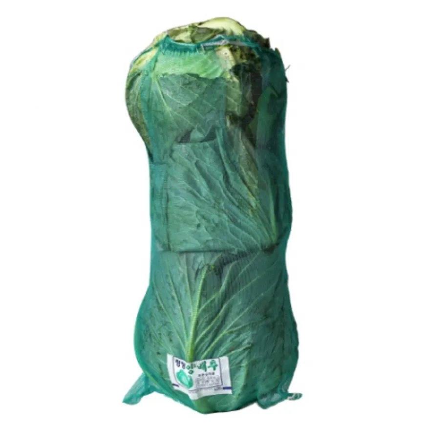 양배추 국내산 (3입/大/45~47망) 1망 이미지