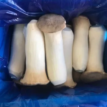 새송이버섯 중/국내산 2kg/박스