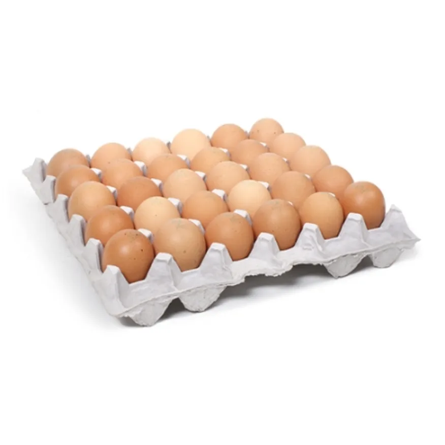 계란 맛있는중란/국내산 30구 이미지