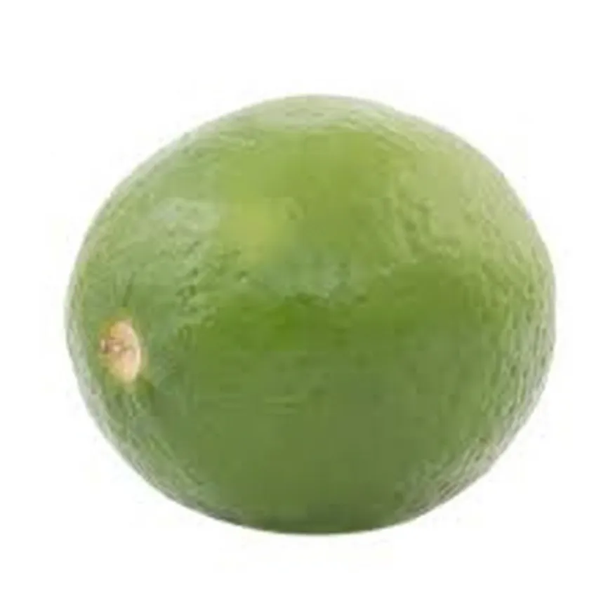 라임 멕시코산 1개 이미지