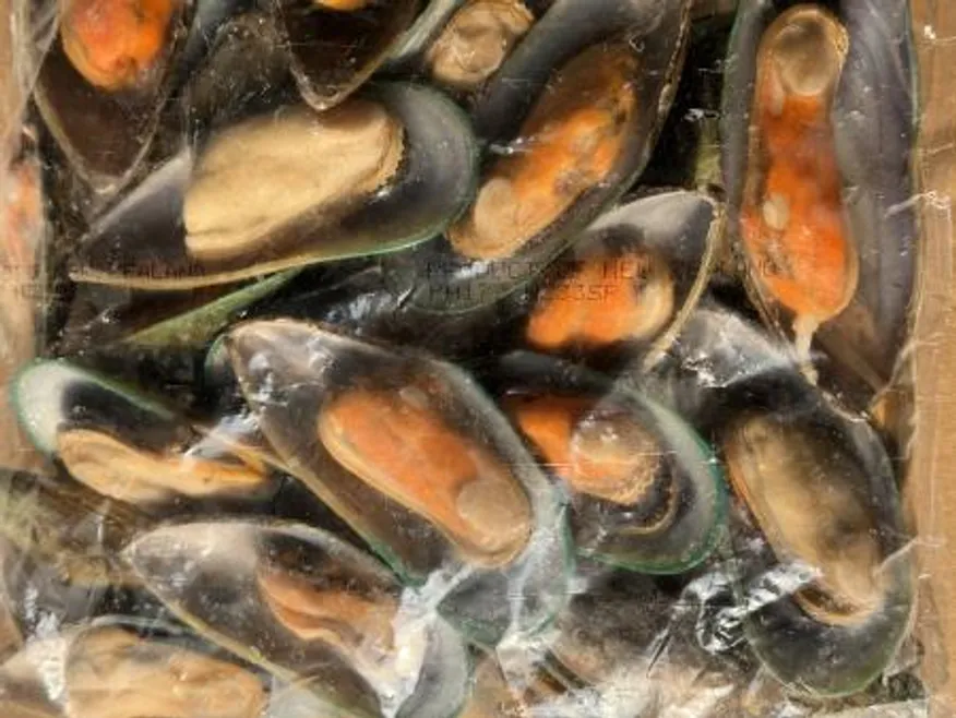 뉴질랜드 자숙 그린홍합M 800gX12개 반탈각 업소용 대용량 (아이스팩 포함) 이미지