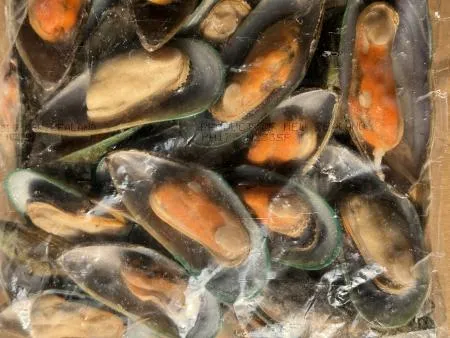 뉴질랜드 자숙 그린홍합M 800gX12개 반탈각 업소용 대용량 (아이스팩 포함) 이미지