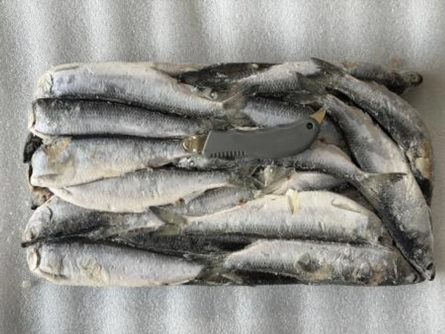 청어13kg 25cm 약 35마리 청어조림 과메기 대용량 이미지