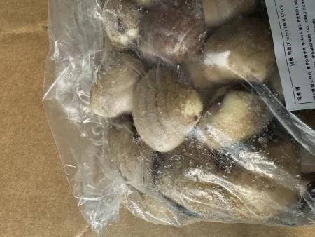 냉동 백합조개 1kgX5개 조개탕 파스타 봉골레 대용량 업소용 (아이스팩 포함) 이미지