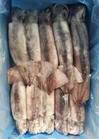 베이트오징어 3kgX3개 냉동 통오징어 업소용 대용량 (아이스팩 포함) 이미지