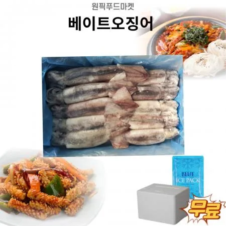 베이트오징어 3kgX3개 냉동 통오징어 업소용 대용량 (아이스팩 포함)