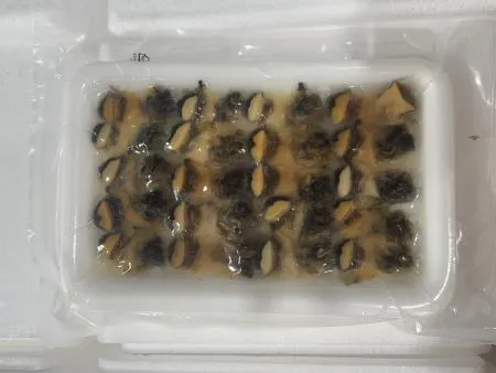 초참소라5g(100g*10팩) 아이씨 초밥용 대용량 뷔페 이미지