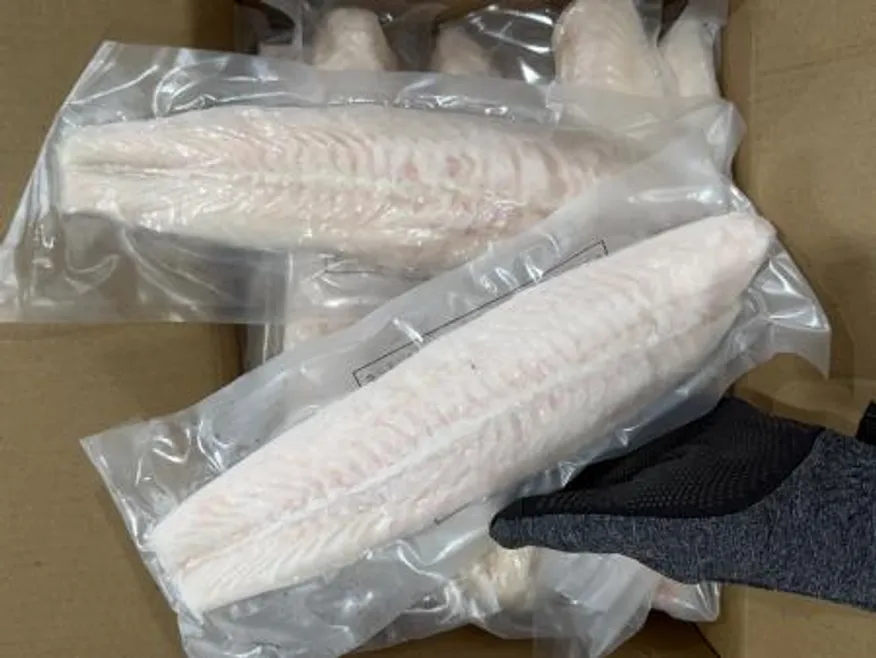 팡가시우스트라 메기살5kg 참메기 이미지