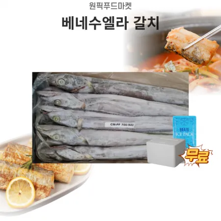 갈치 베네수엘라 700-900 8kg 9미내외 업소용 대용량 아이스팩 무료