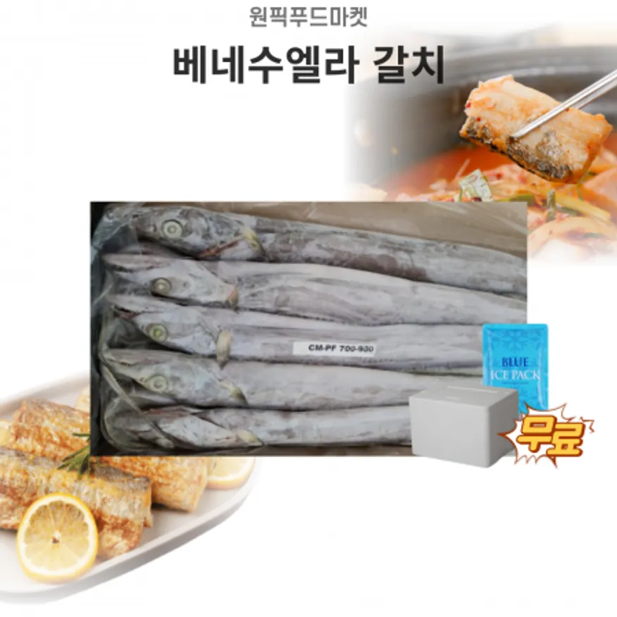 갈치 베네수엘라 700-900 8kg 9미내외 업소용 대용량 아이스팩 무료 이미지