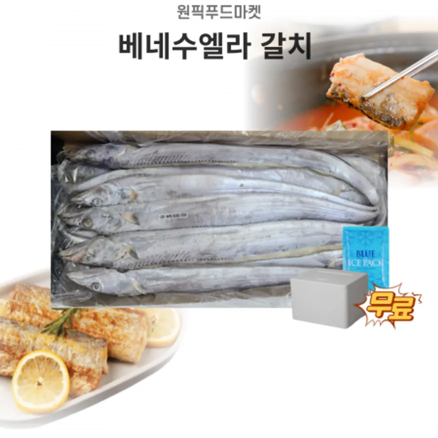 갈치 베네수엘라 500-700 8kg 13미내외 업소용 대용량 아이스팩 무료 이미지