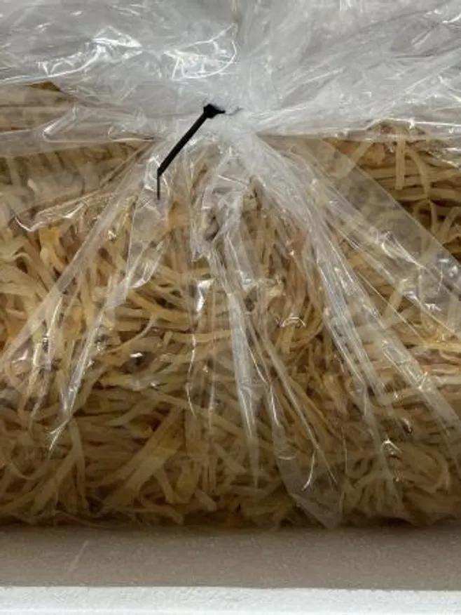 염장 해파리5kg 손질된 해파리 업소용 대용량 이미지
