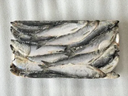 청어13kg 25cm 약 35마리 청어조림 과메기 대용량 이미지