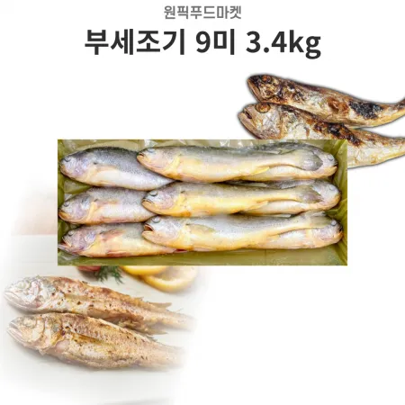 부세 조기 9미 3.4kg (400/500)