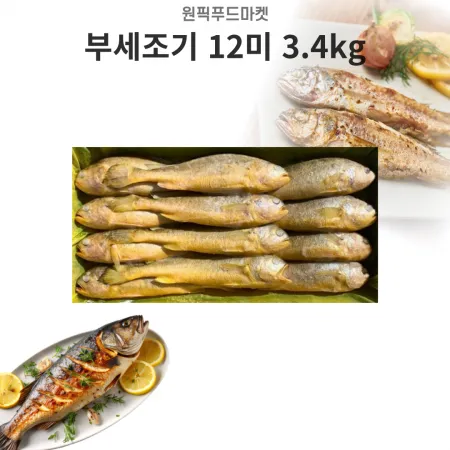 부세 조기 12미 3.4kg (300/400)