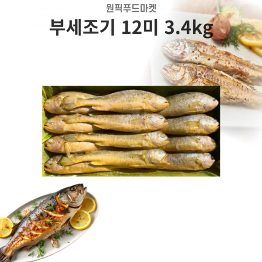부세 조기 12미 3.4kg (300/400) 이미지