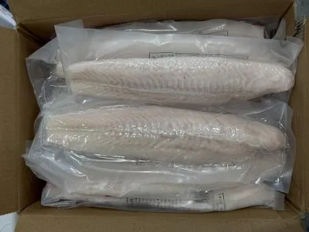 팡가시우스트라 메기살5kg 참메기 