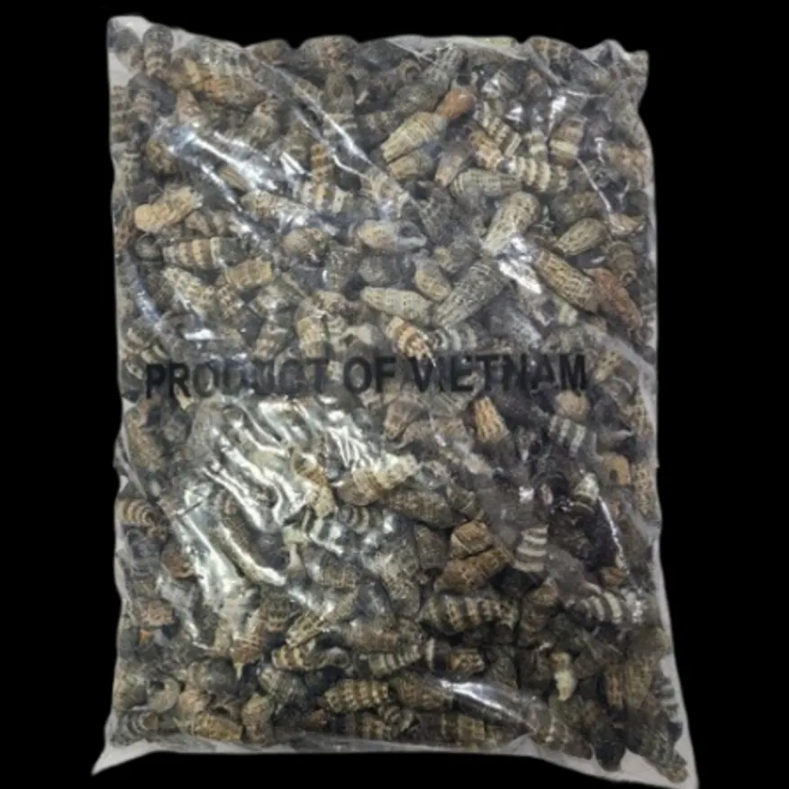 갯고동 다슬기 1kgX10개 올갱이 바다고동 자숙고동 이미지