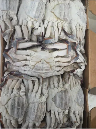 국내산 꽃게 암게 10kg 4단 45미 전후 
