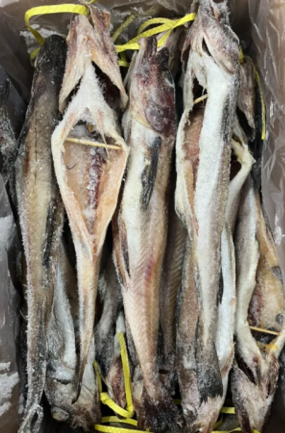 명태코다리 4미 10코 13kg 코다리찜 황태 대용량 이미지