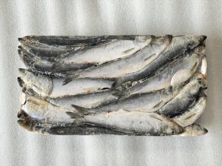 청어13kg 25cm 약 35마리 청어조림 과메기 대용량