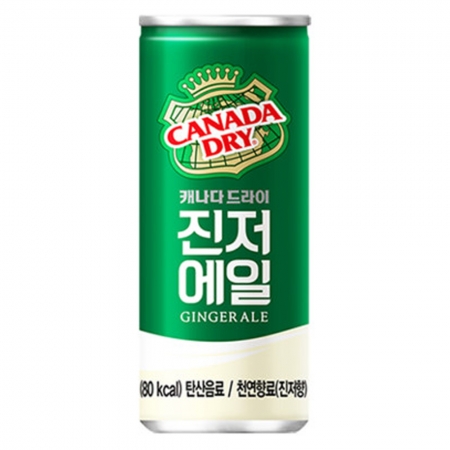 캐나다드라이 진저에일 250ml 30개