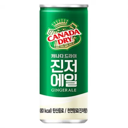 캐나다드라이 진저에일 250ml 30개
