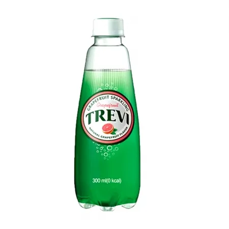 트레비 자몽 300ml 20개