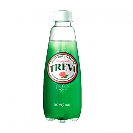트레비 자몽 300ml 20개 이미지