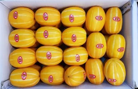 ★한정수량특가전★고당도꿀참외(특/10kg)