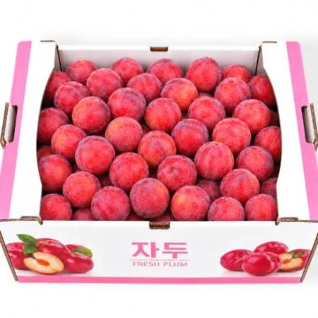 ★당일경매특가★자두(특/5kg)