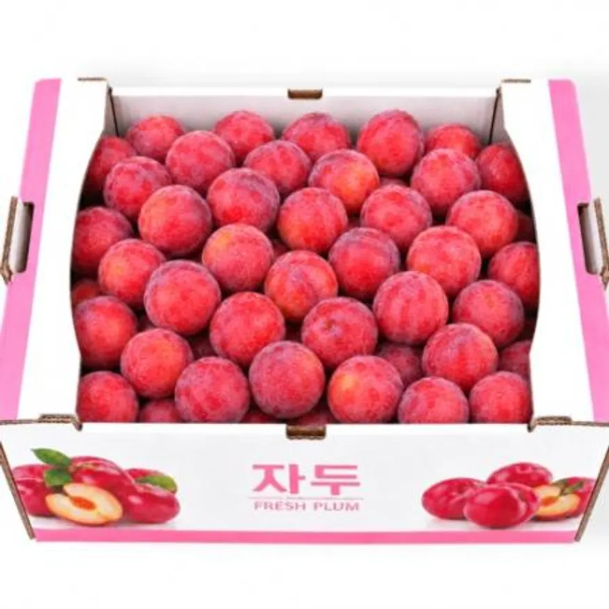 ★당일경매특가★자두(특/5kg) 이미지