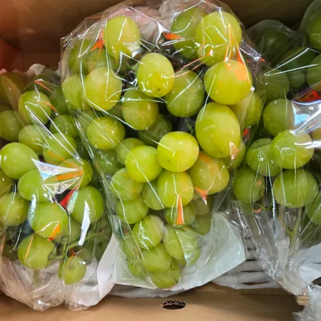 [야과몰] 국내산 껍질째 먹는 고당도 샤인머스켓 2kg (3~4송이) 내외 가정용 선물용 과일