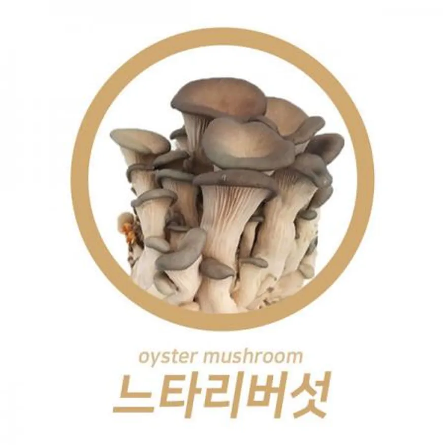 야과몰 맛 영양 건강을 동시에 느타리(상) 못난이 2kg 이미지