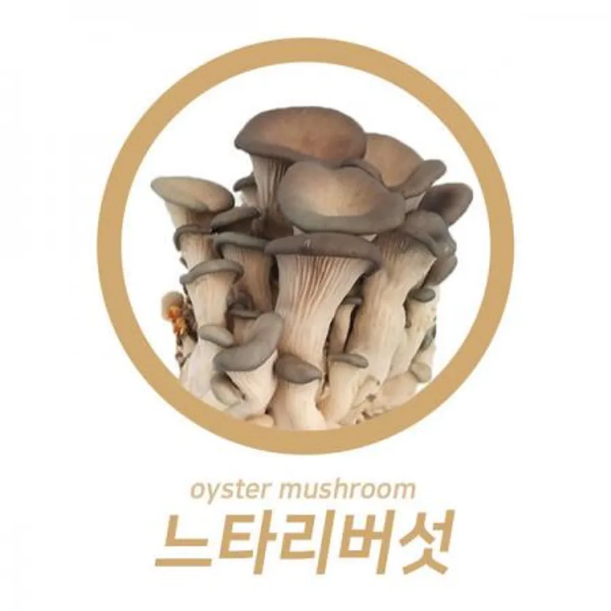 야과몰 맛 영양 건강을 동시에 느타리(상) 못난이 2kg 이미지