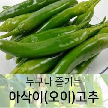 야과몰 누구나 즐기는 아삭이(오이)고추 상 1kg