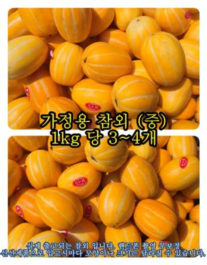 야과몰 맛있는 가정용 제철 과일 참외 사이즈 중 10kg (1kg 당 3~4과 내외) 이미지