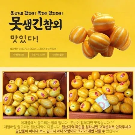 야과몰 맛있는 제철 과일 참외 사이즈 소 5kg (1kg 당 5과 내외) 이미지