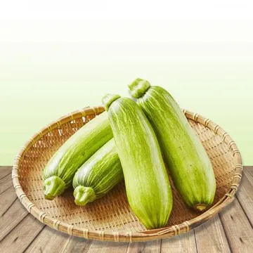 야과몰 영양만점 최상의 채소 애호박 상 20개 내외 1박스